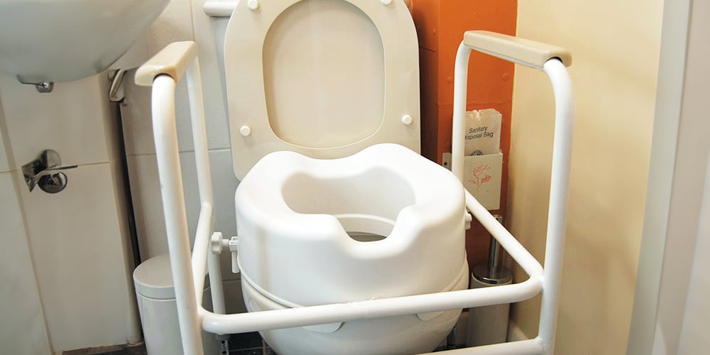 toilet with safety rails