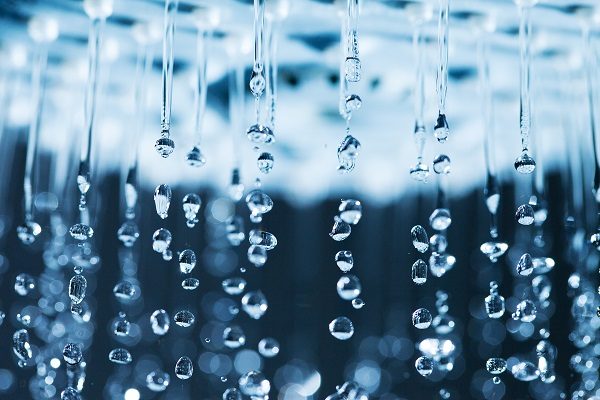 Shower Head