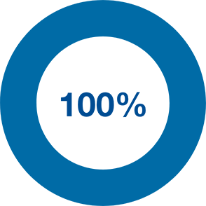 pie chart showing 100 percent