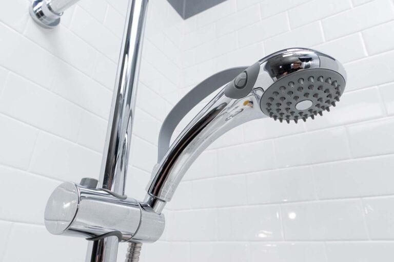 handheld shower head