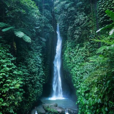 Image for choice number 2