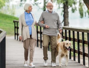senior couple walking their dog at the park
